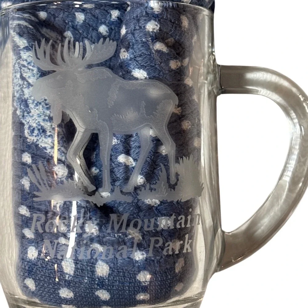 Rocky Mountain National Park Etched Moose Glass Beer Mug Stein‎ Clear Souvenir